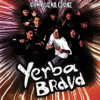 Adrenalina_Yerba Brava