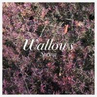 These Days_Wallows