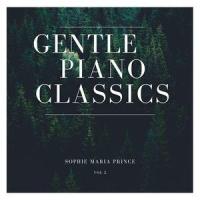 Minuet in G minor (BWV Anh. 115) (Gentle Piano)_Sophie Maria Prince,Christian Petzold