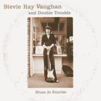 The Sky Is Crying_Stevie Ray Vaughan