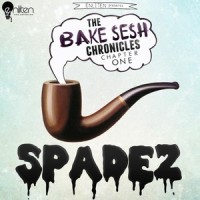 Private Dancer(feat. Collin McLoughlin & Kam Royal)_Spadez,Collin McLoughlin,Kam Royal