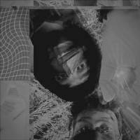 DAMN!(feat. 4 am & Cadence)_Taroon.,4 AM,Cadence