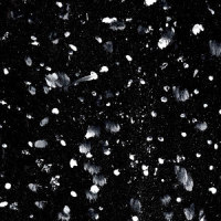 Blackout_Jaxxon D. Silva,Brennan Savage