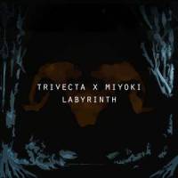 Labyrinth(feat. Miyoki)_Trivecta,Miyoki