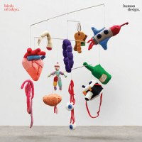 When Home Calls_Birds Of Tokyo