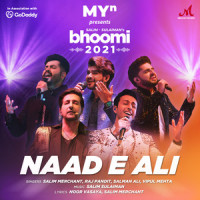 Naad E Ali(feat. Salim Merchant, Raj Pandit, Salman Ali & Vipul Mehta)_Salim Sulaiman,Raj Pandit,Salim Merchant,Salman Ali,Vipul Mehta