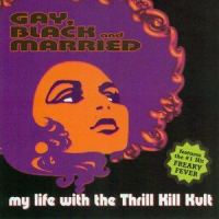 Dream 13_My Life With The Thrill Kill Kult