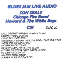 Look Now Baby_Son Seals,Chicago Fire Band,Howard,the White Boys