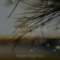 Allowed to Relax_Sound Sleeping,Wellness,Saludo al Sol Sonido Relajante