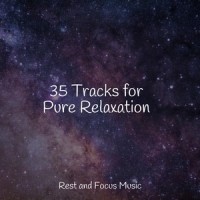 Twilight from the Window_Classical New Age Piano Music,Wellness,Ambient Forest