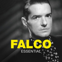 Nachtflug_Falco