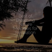 Morning Amber Dew_Sounds of Nature White Noise for Mindfulness Meditation and Relaxation,Yoga Namaste,Spa