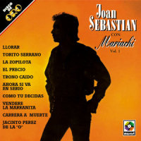 Como Tu Decidas_Joan Sebastian