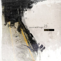 Damaged_Assemblage 23