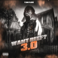 Want Beef? 3.0_YSN FLOW