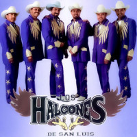 Se Me Olvidó Otra Vez_Los Halcones De San Luis,Juan Gabriel