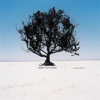 You Are The One_Shiny Toy Guns