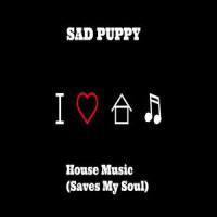 House Music(Saves My Soul)_Sad Puppy