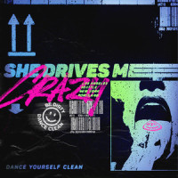 She Drives Me Crazy_Dance Yourself Clean