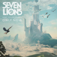 Only Now(feat. Tyler Graves)_Seven Lions,Tyler Graves