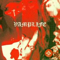 clarity_VAMPLIFE,Kazz