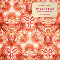 By Your Side_Calvin Harris,Tom Grennan,Felix Jaehn