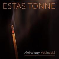 The Winds Will Bring You Home(feat. Liat Zion)_Estas Tonne,Liat Zion