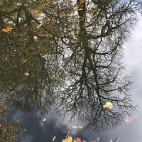 Bed In The River_Joan Shelley