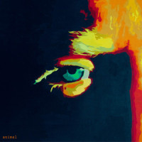 My Kind of Paradise_Gareth Dunlop