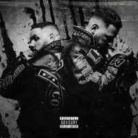 HEAVY RAIN_Fler,Frank White,Bass Sultan Hengzt