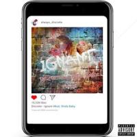 Ignant (feat. Shida Baby)_Discrete,Shida Baby