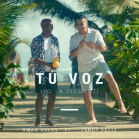 Tu Voz(Yo la Escuché)_Omar Salas