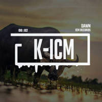 DAWN_K-ICM