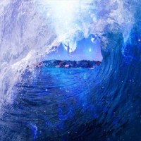 Pura Vida_Beast Coast
