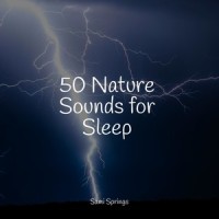 Droplets_The Rainforest Collective,Pink Noise,Rain Sounds for Sleep