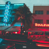 Vice(feat. Madi Larson)_Anonymuz,Madi Larson