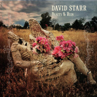 Beauty and Ruin_David Starr,Dana Cooper