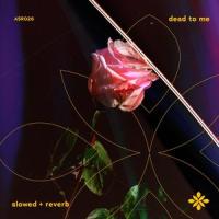 dead to me - slowed + reverb_Slo,Twilight,Tazzy