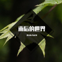 雨后的世界_洛天依,乐正绫