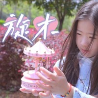 旋木_小石头和孩子们