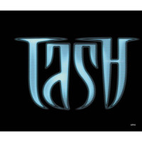 The Game_Tash