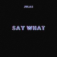 Say What_Julas,Juliusz Toczydłowski
