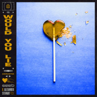 Would You Lie_Seeb,Alexander Stewart