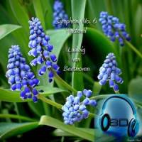 Symphony No. 6 In F Major, Op. 68 'Pastoral'- III Allegro - Merry gathering of country folk - Ludwig Van Beethoven (8D Binaural Remastered - Music Therapy)_Ludwig van Beethoven