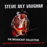 Cold Shot_Stevie Ray Vaughan