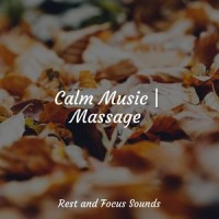 Outside in Twilight_Brain Study Music Guys,Sounds of Nature White Noise for Mindfulness Meditation and Relaxation,Spa