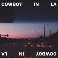 Cowboy in LA_Tate Brusa