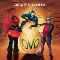 Frevo Zumbido_Cirque Du Soleil
