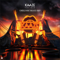 I Should Have Walked Away_Kaaze,Nino Lucarelli