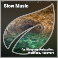 Slow Music, Pt. 34_Relaxing Spa Music,Deep Sleep,Relaxing Music by Thimo Harrison